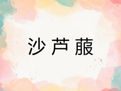 沙芦菔 沙芦菔