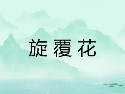 旋覆花 旋覆花