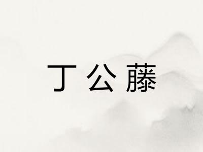 丁公藤 丁公藤