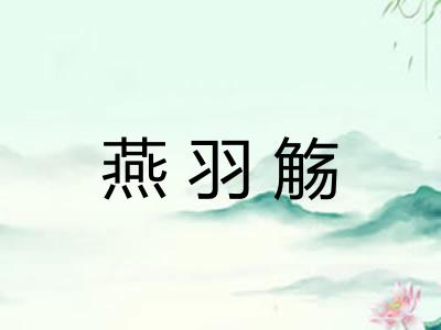燕羽觞 燕羽觞