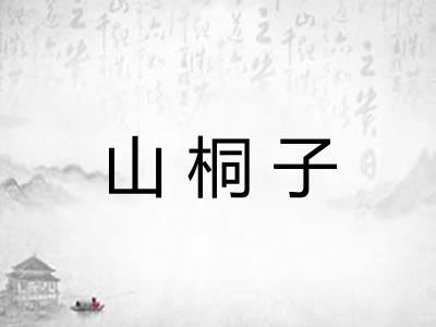 山桐子 山桐子