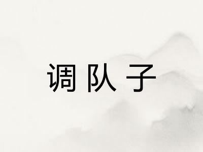 调队子 调队子