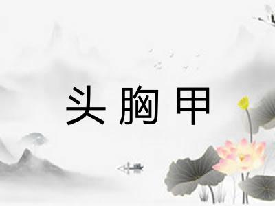 头胸甲 头胸甲