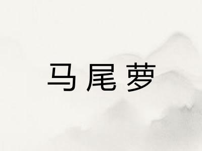 马尾萝 马尾萝