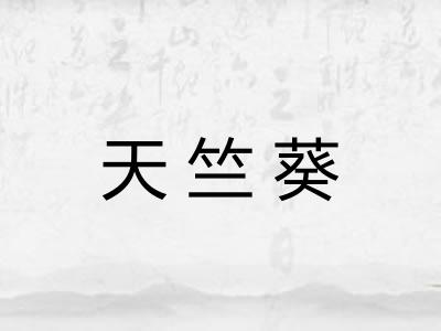 天竺葵 天竺葵