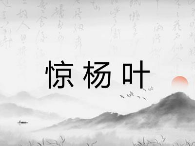 惊杨叶 惊杨叶
