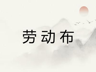 劳动布 劳动布