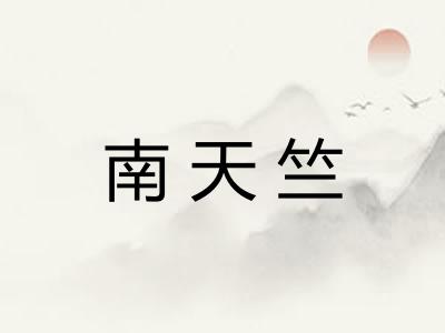 南天竺 南天竺