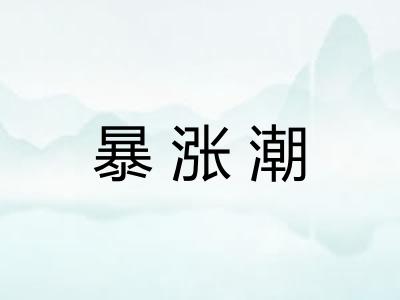 暴涨潮 暴涨潮