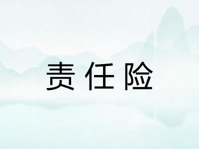 责任险 责任险