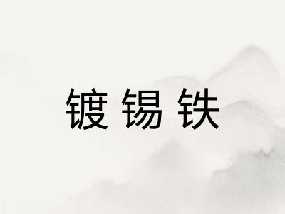 镀锡铁 镀锡铁