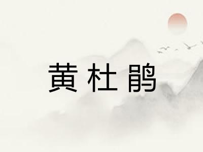 黄杜鹃 黄杜鹃