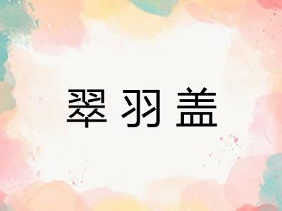 翠羽盖 翠羽盖