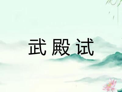 武殿试 武殿试