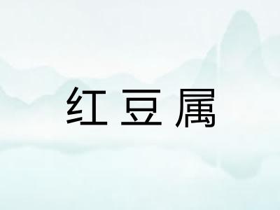 红豆属 红豆属