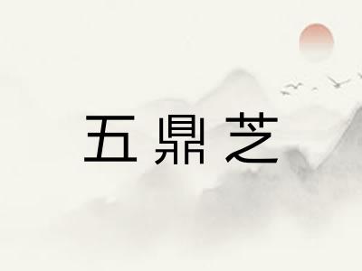 五鼎芝 五鼎芝