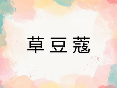 草豆蔻 草豆蔻