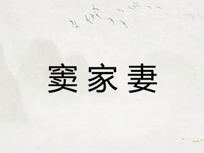 窦家妻 窦家妻