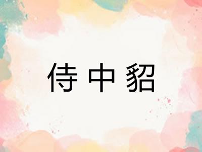 侍中貂 侍中貂