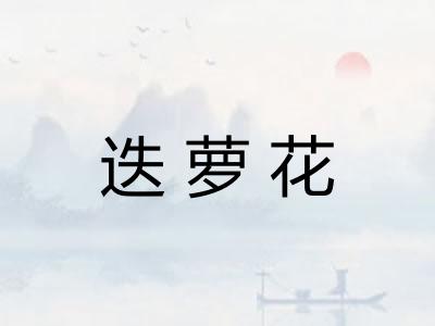 迭萝花 迭萝花