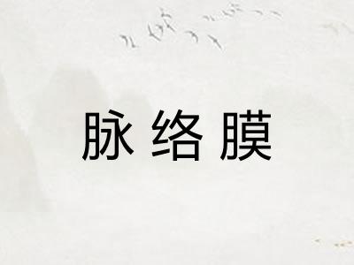 脉络膜 脉络膜