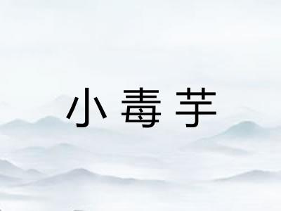 小毒芋 小毒芋
