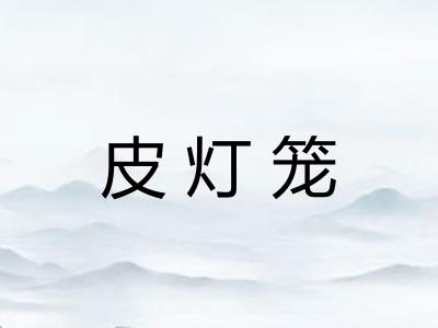 皮灯笼 皮灯笼