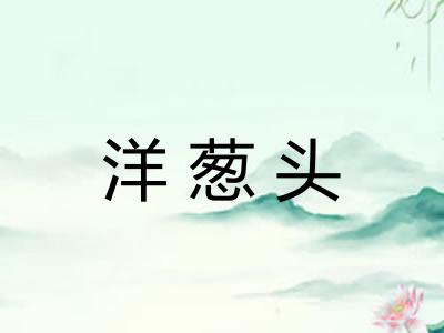 洋葱头 洋葱头