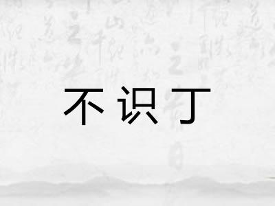 不识丁