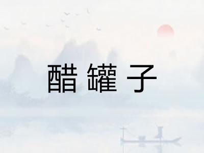 醋罐子 醋罐子