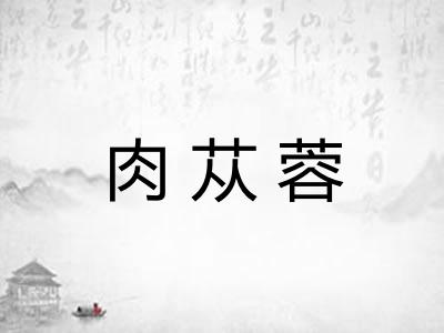 肉苁蓉 肉苁蓉