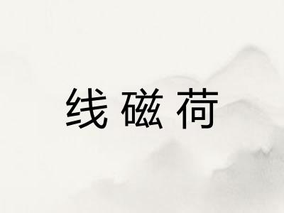 线磁荷 线磁荷