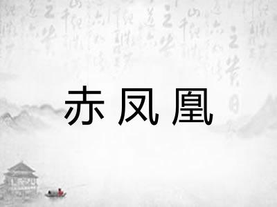 赤凤凰 赤凤凰