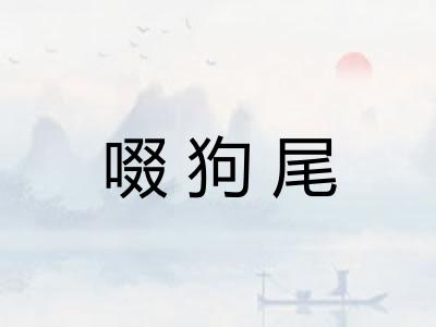 啜狗尾 啜狗尾