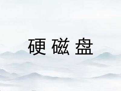 硬磁盘 硬磁盘