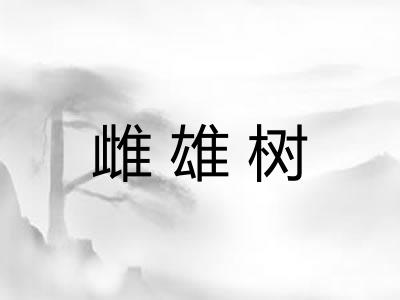雌雄树 雌雄树