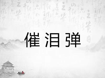 催泪弹 催泪弹