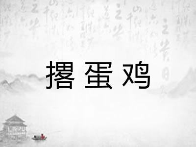 撂蛋鸡