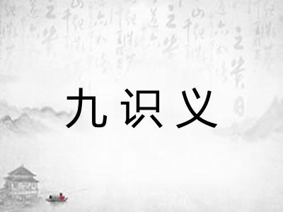 九识义 九识义