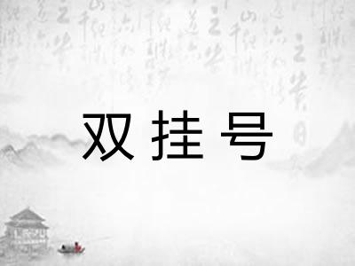 双挂号 双挂号