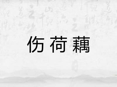 伤荷藕 伤荷藕