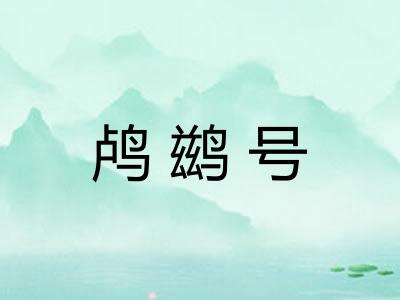 鸬鹚号 鸬鹚号