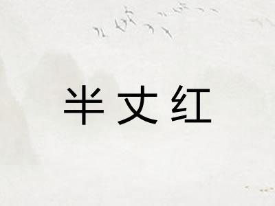 半丈红 半丈红