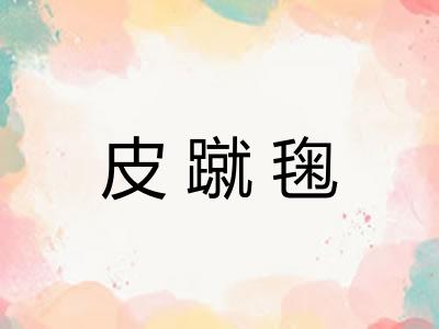 皮蹴毱 皮蹴毱