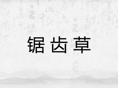 锯齿草 锯齿草