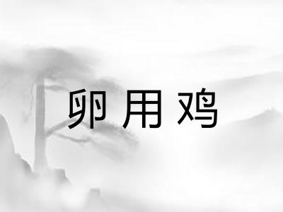 卵用鸡