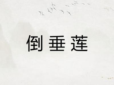 倒垂莲