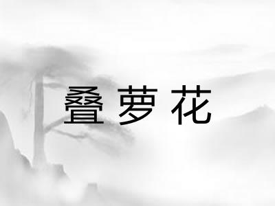 叠萝花 叠萝花