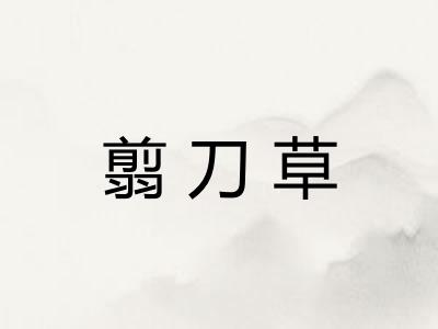 翦刀草 翦刀草