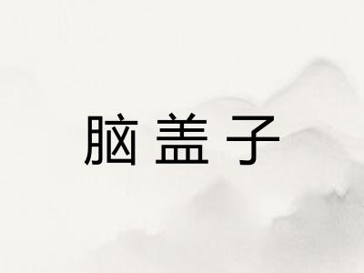 脑盖子 脑盖子